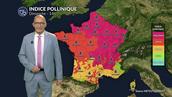 Canicule et orages : pic allergique majeur aux urticacées sur la moitié nord