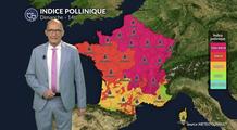 Canicule et orages : pic allergique majeur aux urticacées sur la moitié nord