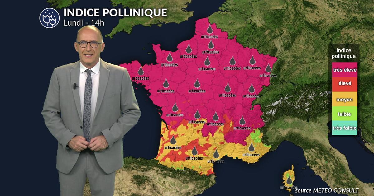 Canicule et urticacées : risque allergique maximal niveau 5 sur presque toute la France lundi