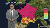 Canicule et urticacées : risque allergique maximal niveau 5 sur presque toute la France lundi