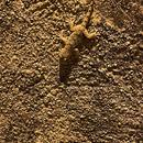 Carro 09/08/2026