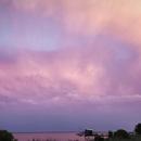 Pauillac 10/08/2026