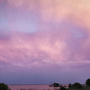 Pauillac 10/08/2026
