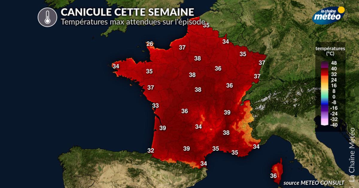 Canicule cette semaine : la chronologie au jour le jour
