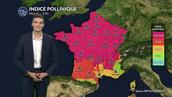 Pollens et allergies ce mardi : indice pollinique maximal pour les urticacées ce mardi