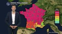 Pollens et allergies ce mardi : indice pollinique maximal pour les urticacées ce mardi