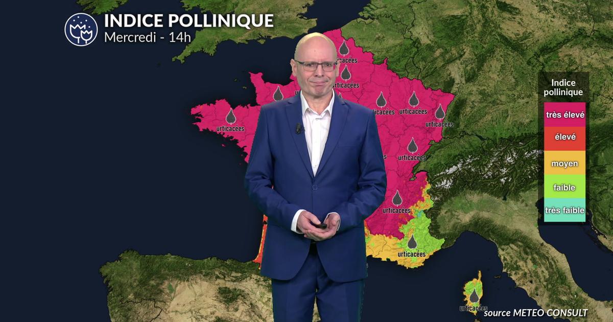 Bulletin pollens et allergies pour mercredi : risque maximal avec la chaleur et les urticacées