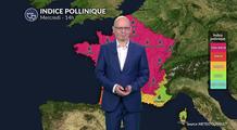 Bulletin pollens et allergies pour mercredi : risque maximal avec la chaleur et les urticacées