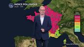 Canicule et risque allergique maximal : urticacées et ambroisie saturent l'air sur presque toute la France