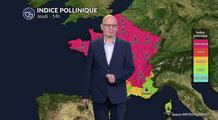 Canicule et risque allergique maximal : urticacées et ambroisie saturent l'air sur presque toute la France