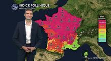 Pollens et allergies : indice pollinique maximal aux urticacées et à l'ambroisie ce vendredi
