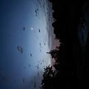 Nevers 13/08/2026