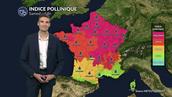 Pollens et allergies : risque allergique maximal aux urticacées au nord du pays ce samedi