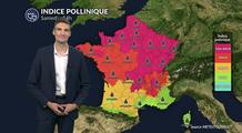 Pollens et allergies : risque allergique maximal aux urticacées au nord du pays ce samedi