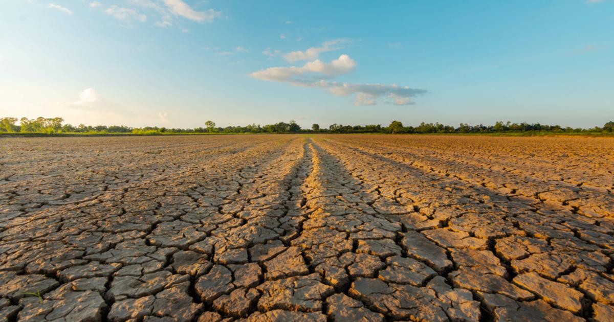 Sécheresse en France : la canicule aggrave encore une situation exceptionnelle
