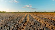 Sécheresse en France : la canicule aggrave encore une situation exceptionnelle