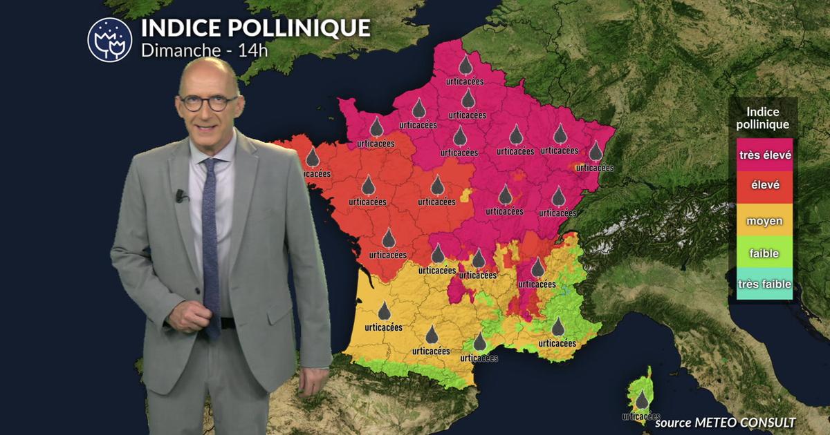 Alerte rouge aux pollens : orages et chaleur font exploser les risques d'allergies sur huit régions