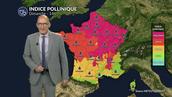 Alerte rouge aux pollens : orages et chaleur font exploser les risques d'allergies sur huit régions