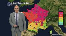 Alerte rouge aux pollens : orages et chaleur font exploser les risques d'allergies sur huit régions