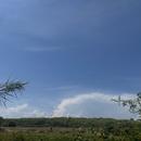 Montpezat 15/08/2026
