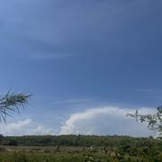 Montpezat 15/08/2026