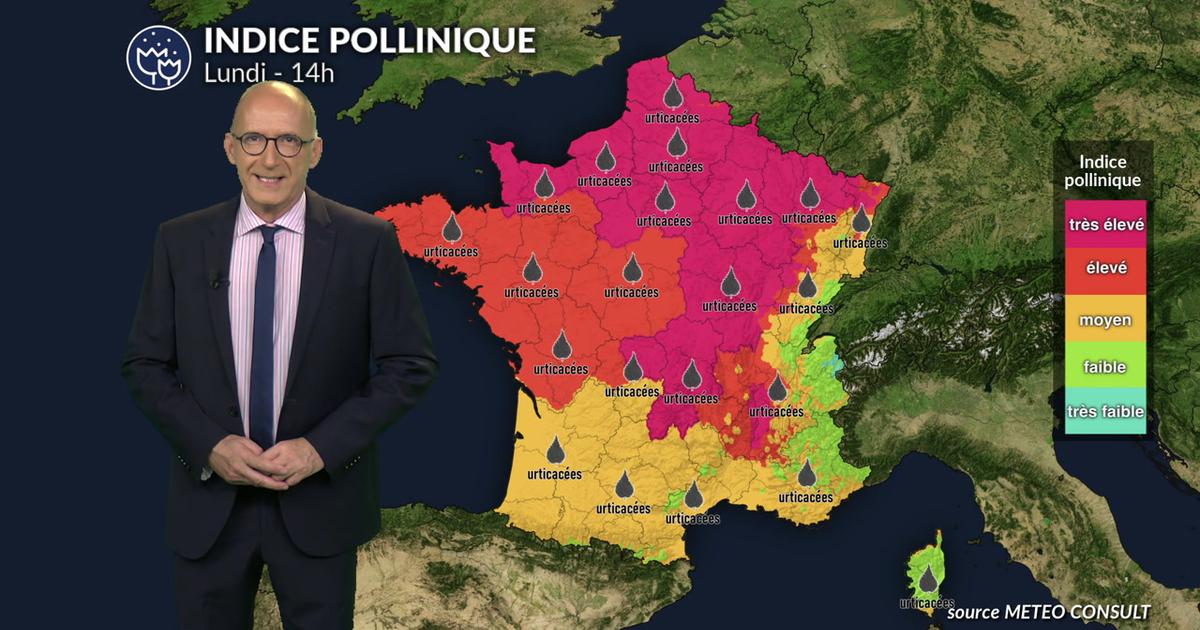 Alerte rouge aux pollens d'urticacées sur la moitié nord avec un risque maximal de 5