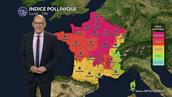 Alerte rouge aux pollens d'urticacées sur la moitié nord avec un risque maximal de 5