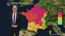 Alerte rouge aux pollens d'urticacées sur la moitié nord avec un risque maximal de 5