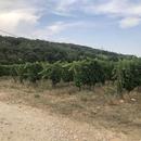 Chanos-Curson 16/08/2026