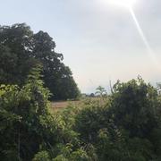 Romans-sur-Isère 16/08/2026