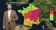 Alerte pollens maximale : l'ambroisie sature l'air de l'est avant l'arrivée libératrice des orages