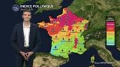 Pollens et allergies : pic d'urticacées et risque orageux ce jeudi
