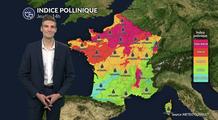 Pollens et allergies : pic d'urticacées et risque orageux ce jeudi