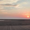 Leucate 19/08/2026