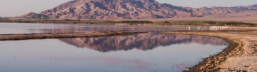 Sous une mer née par accident en Californie se cache une immense réserve de lithium