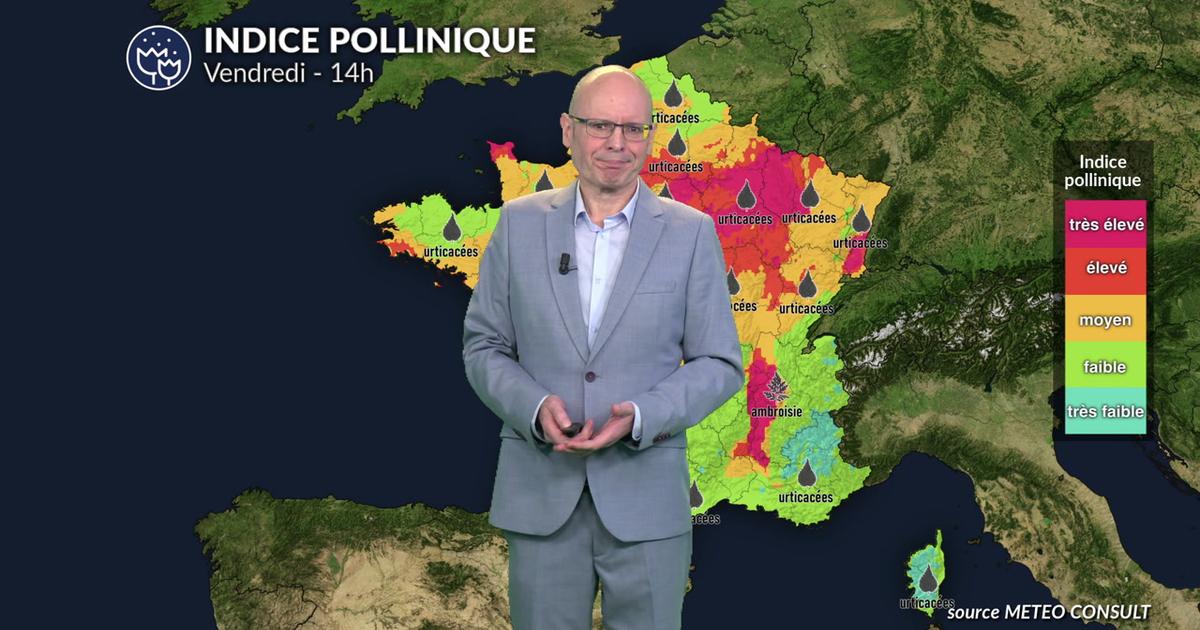Alerte pollens maximale du nord au centre : urticacées et risque d'orage dans le sud-est