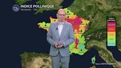 Alerte pollens maximale du nord au centre : urticacées et risque d'orage dans le sud-est