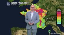 Alerte pollens maximale du nord au centre : urticacées et risque d'orage dans le sud-est