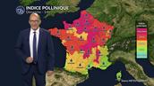Alerte rouge aux urticacées et à l'ambroisie sur la moitié nord sous le soleil