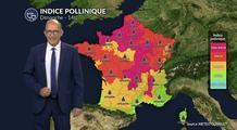 Alerte rouge aux urticacées et à l'ambroisie sur la moitié nord sous le soleil