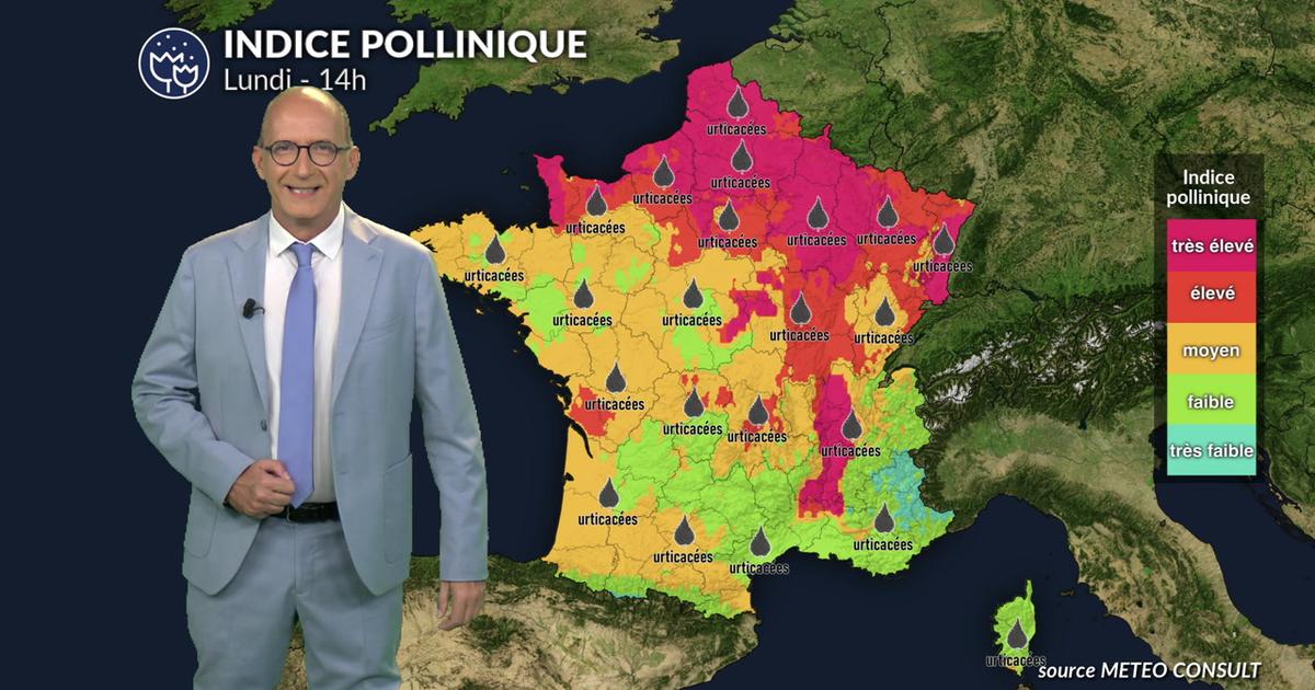 Orages et risque maximal 5 aux urticacées et à l'ambroisie sur la moitié nord