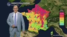 Orages et risque maximal 5 aux urticacées et à l'ambroisie sur la moitié nord