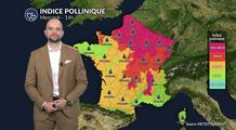 Pollens et allergies : urticacées et ambroisie saturent l'air du nord à l'est sous la chaleur
