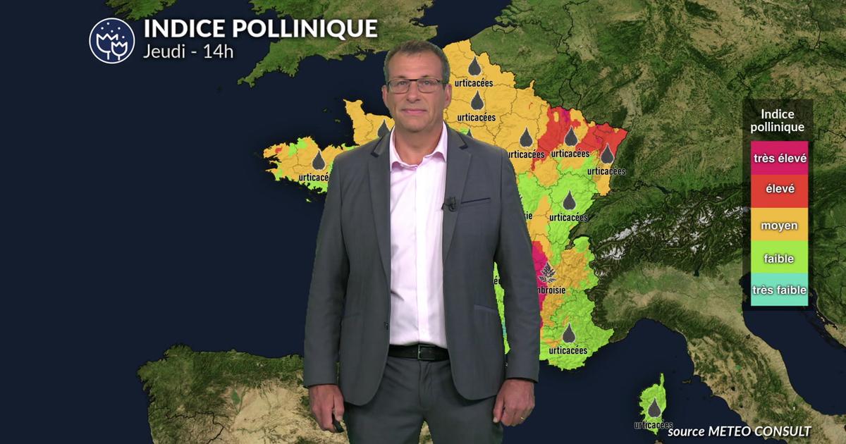 Pollens et allergies : une situation météo instable et orageuse qui fait baisser les concentrations polliniques
