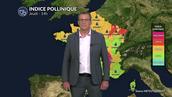 Pollens et allergies : une situation météo instable et orageuse qui fait baisser les concentrations polliniques