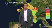 Pollens et allergies : une situation météo instable et orageuse qui fait baisser les concentrations polliniques
