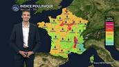 Pollens et allergies : les urticacées restent bien présents dans de nombreuses régions ce vendredi