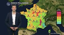 Pollens et allergies : les urticacées restent bien présents dans de nombreuses régions ce vendredi