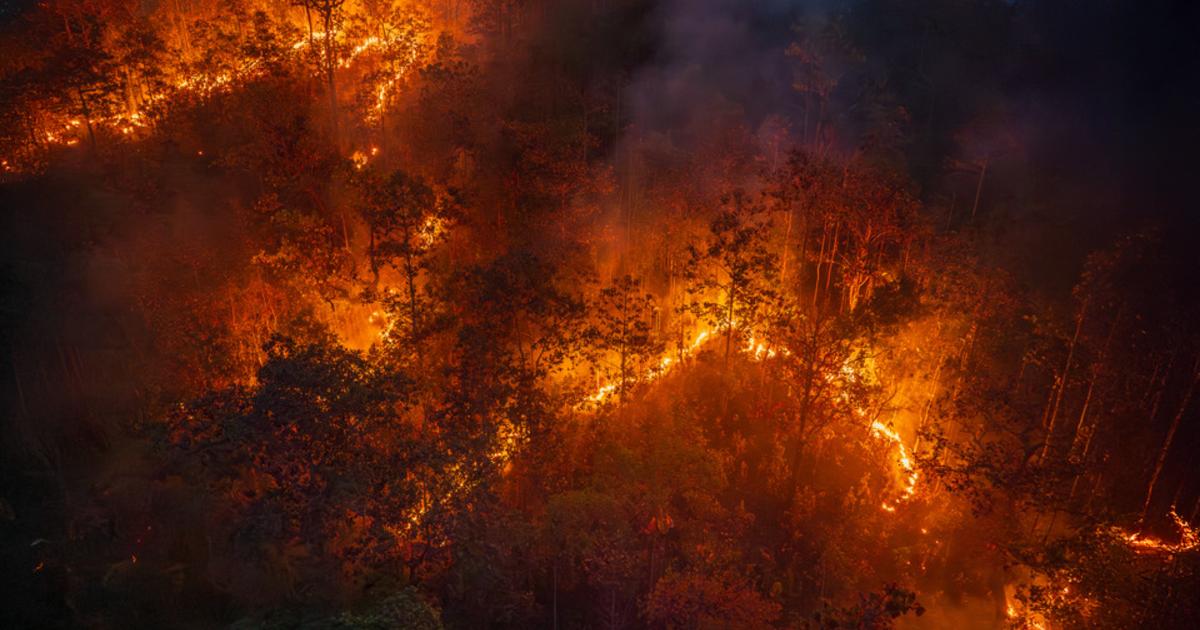 Indonésie : sécheresse marquée et vastes feux en lien avec le phénomène El Niño