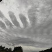 Brannay 27/08/2026